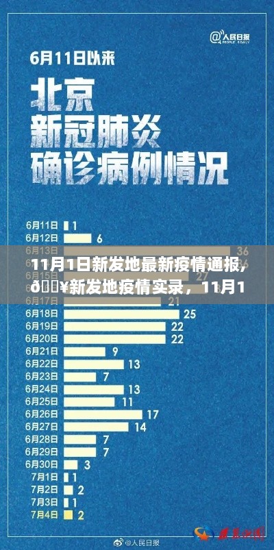 新发地疫情实录，11月1日最新深度解析与通报