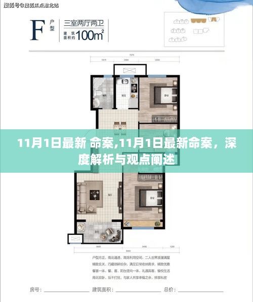 11月1日最新命案深度解析与观点阐述