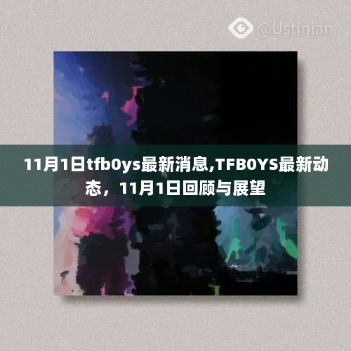 TFB0YS最新动态，11月1日回顾与展望