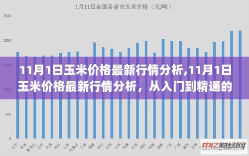 11月玉米价格行情分析，从入门到精通的步骤指南