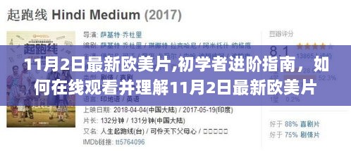 11月2日欧美片进阶指南，在线观看与理解初学者的秘诀