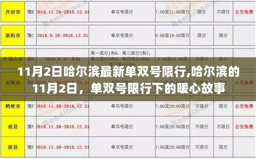 11月2日哈尔滨单双号限行下的暖心故事