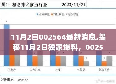 11月2日独家爆料，002564附近隐藏在小巷的神秘小店揭秘