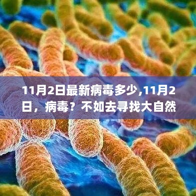 11月2日病毒信息与大自然的治愈力量，如何选择？