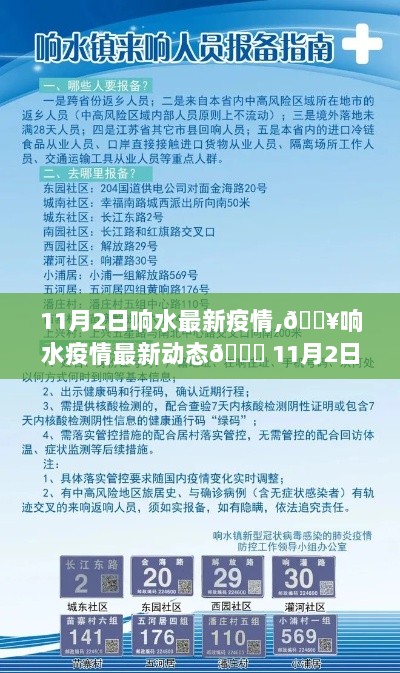 11月2日响水疫情全面解析及最新动态