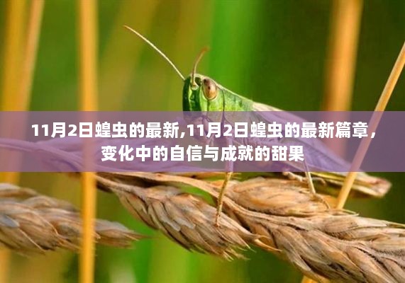 11月2日蝗虫的最新篇章，变化中的自信与成就的甜果