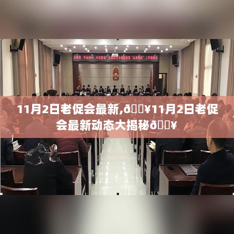 11月2日老促会最新动态揭秘