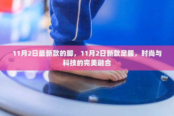 11月2日新款足履，时尚与科技的完美融合