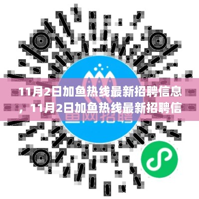 11月2日加鱼热线最新招聘信息解析及用户体验报告