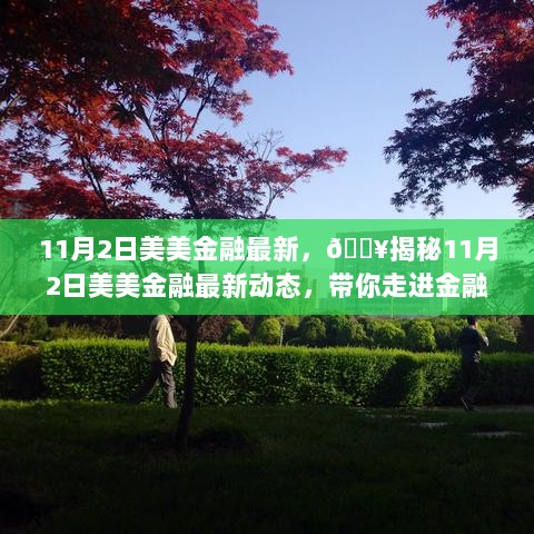 11月2日美美金融最新动态揭秘，金融新纪元的探索之旅