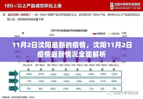 11月2日沈阳疫情全面解析，最新情况与防控措施