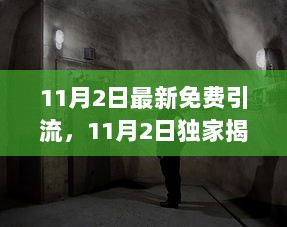 11月2日独家揭秘，隐藏在小巷里的免费引流特色小店秘籍