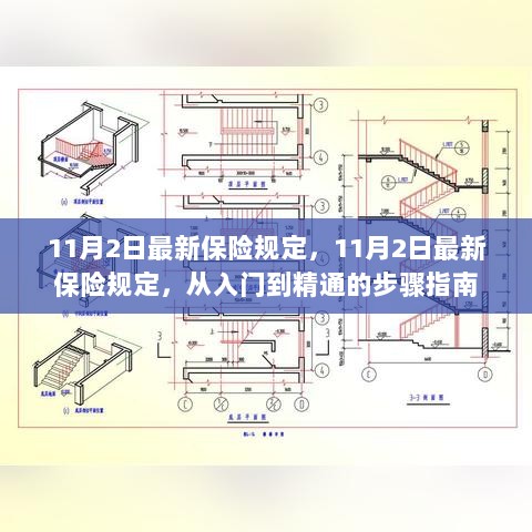 11月2日最新保险规定，从入门到精通的步骤指南