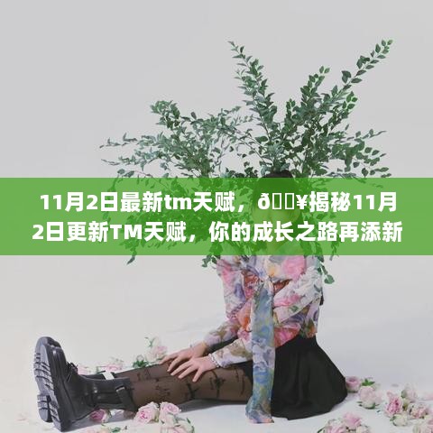 11月2日TM天赋更新揭秘，成长之路再添新翼，助你翱翔天际！