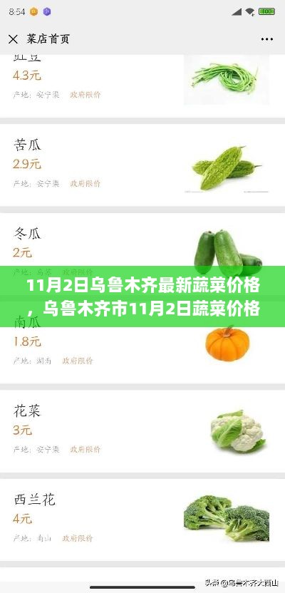 乌鲁木齐市11月2日蔬菜价格深度评测与体验分享