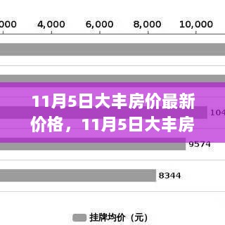 11月5日大丰房价最新解析，市场动态与购房指南