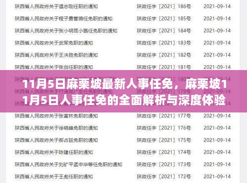 11月5日麻栗坡人事任免全面解析与深度体验