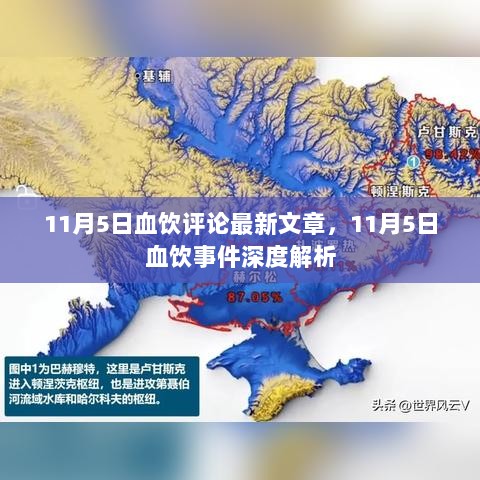 11月5日血饮事件深度解析，最新评论与深度解读