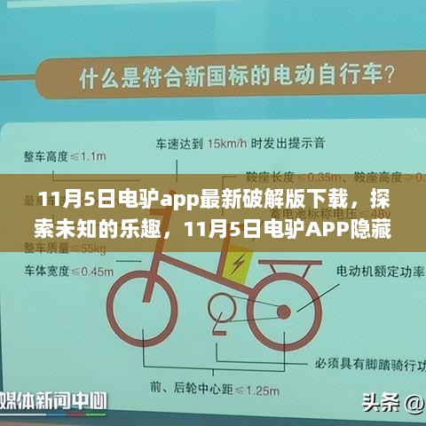 电驴APP的探索之旅，安全下载与未知乐趣探索