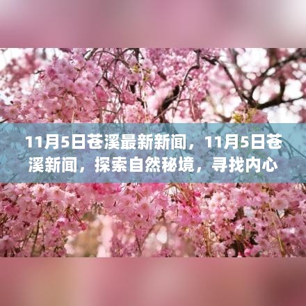 11月5日苍溪新闻探索，自然秘境之旅，寻找内心的平静