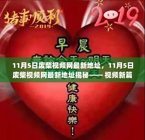 11月5日揭秘，废柴视频网最新地址，开启娱乐新纪元