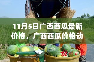 11月5日广西西瓜价格动态及市场地位分析