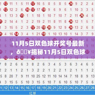 11月5日双色球开奖号码揭秘，寻找你的幸运数字！