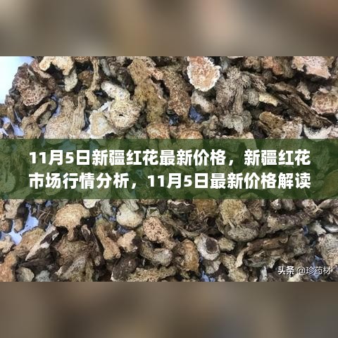 11月5日新疆红花市场行情及最新价格解读