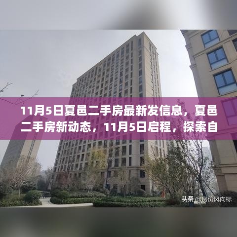 夏邑二手房新动态，11月5日房源更新与自然探索之旅