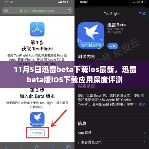 迅雷beta版iOS下载应用深度评测，11月5日最新体验报告