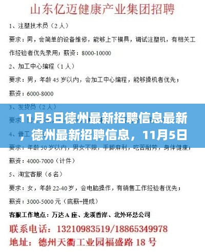 11月5日德州职场动态解析与最新招聘信息