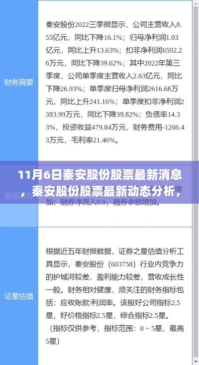 秦安股份股票最新动态分析，市场趋势与投资策略（11月6日）