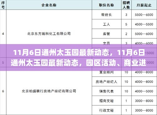 通州太玉园11月6日最新动态，园区活动、商业进展与未来展望