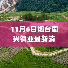 烟台国兴铜业产品评测与介绍，11月6日最新消息