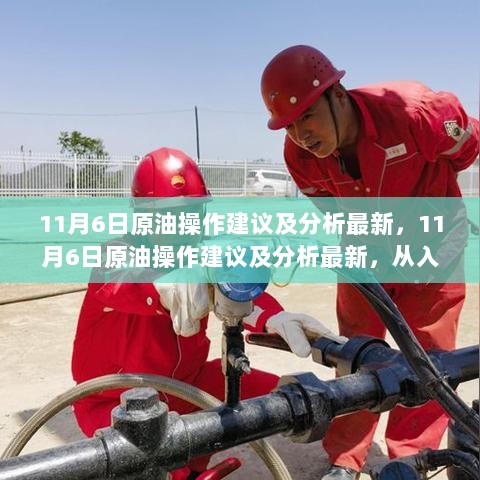 11月6日原油操作建议及分析最新，从入门到精通的全面指南