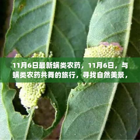 11月6日，与新型螨类农药共舞，寻找自然美景，探索内心平静之旅