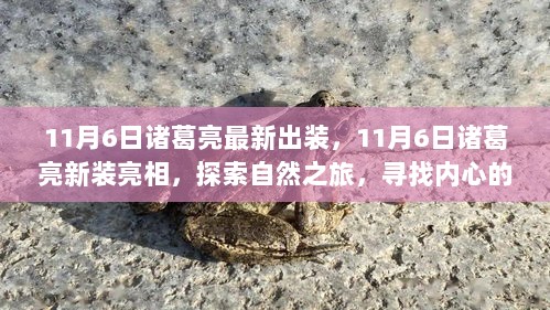 11月6日诸葛亮新装探索，自然之旅下的心灵平静