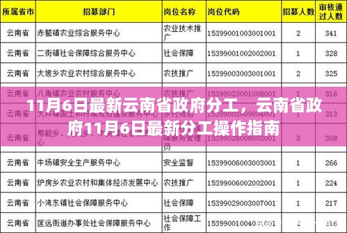 云南省政府11月6日最新分工操作指南