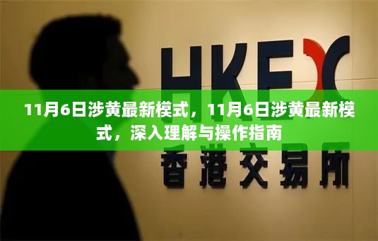 11月6日涉黄模式，深入理解与合规操作指南