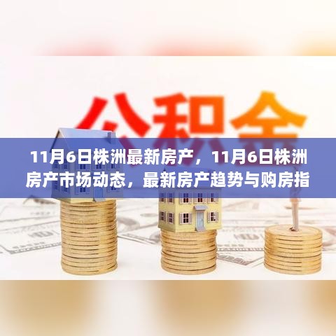 11月6日株洲房产市场动态及最新购房指南，趋势与市场动态一览