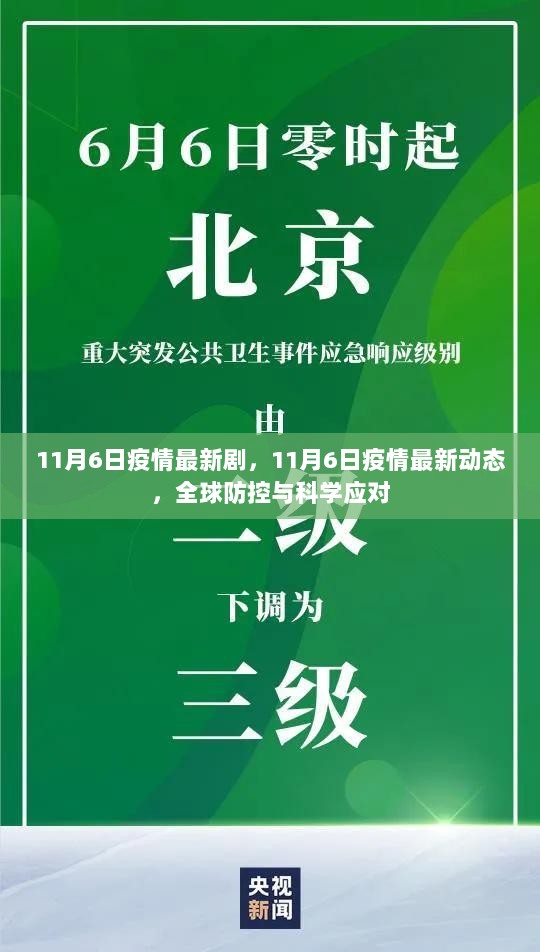 11月6日全球疫情最新动态，防控与科学应对的进展与挑战