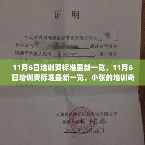 11月6日培训费标准最新一览，小张的培训奇遇与友情故事