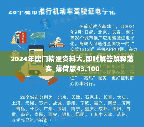 2024年澳门精准资料大,即时解答解释落实_薄荷版43.100