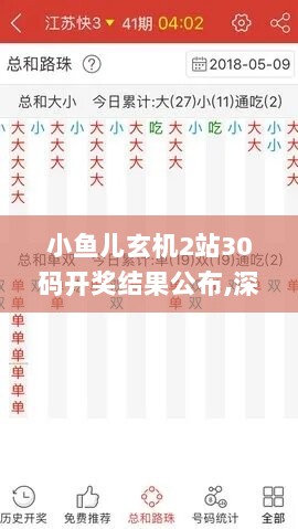 小鱼儿玄机2站30码开奖结果公布,深刻解答解释落实_顶级版12.198