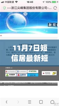 11月7日短信居最新产品评测与介绍，最新短信服务体验