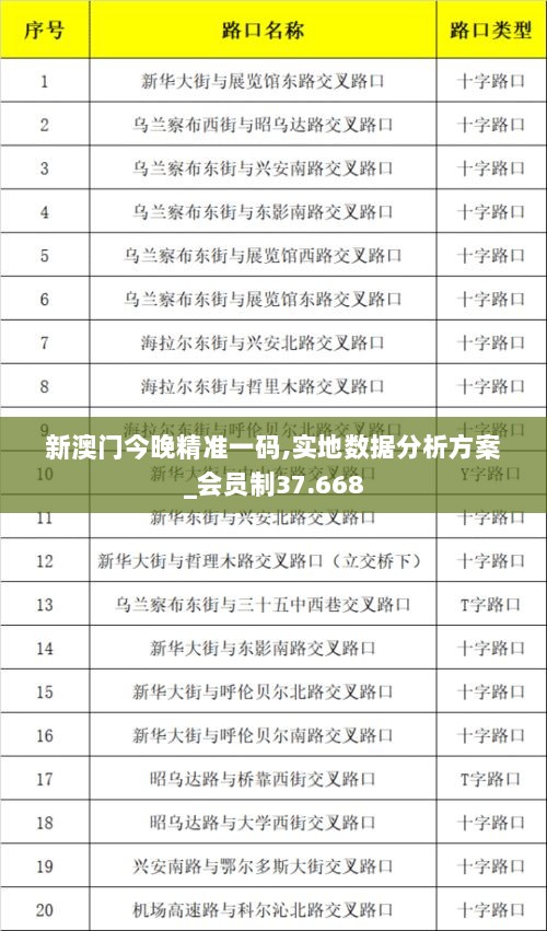 新澳门今晚精准一码,实地数据分析方案_会员制37.668