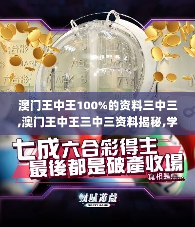 澳门王中王100%的资料三中三,澳门王中王三中三资料揭秘,学说解答解释落实_Mixed92.386