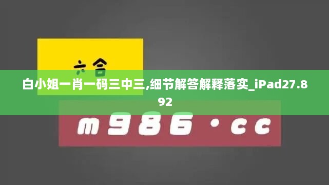 白小姐一肖一码三中三,细节解答解释落实_iPad27.892