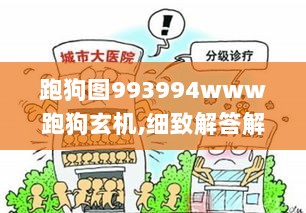 跑狗图993994www跑狗玄机,细致解答解释落实_L版98.284