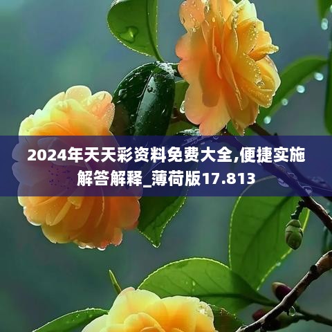 2024年天天彩资料免费大全,便捷实施解答解释_薄荷版17.813